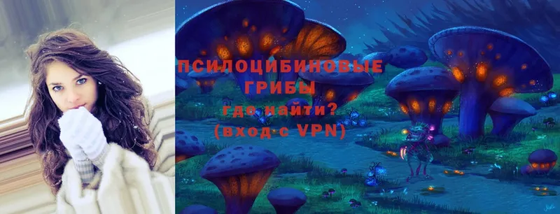 Псилоцибиновые грибы MAGIC MUSHROOMS  ОМГ ОМГ маркетплейс  Обнинск 